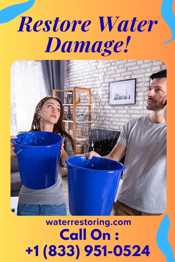 water restoration Quick Water Removal Crew North Belle Vernon