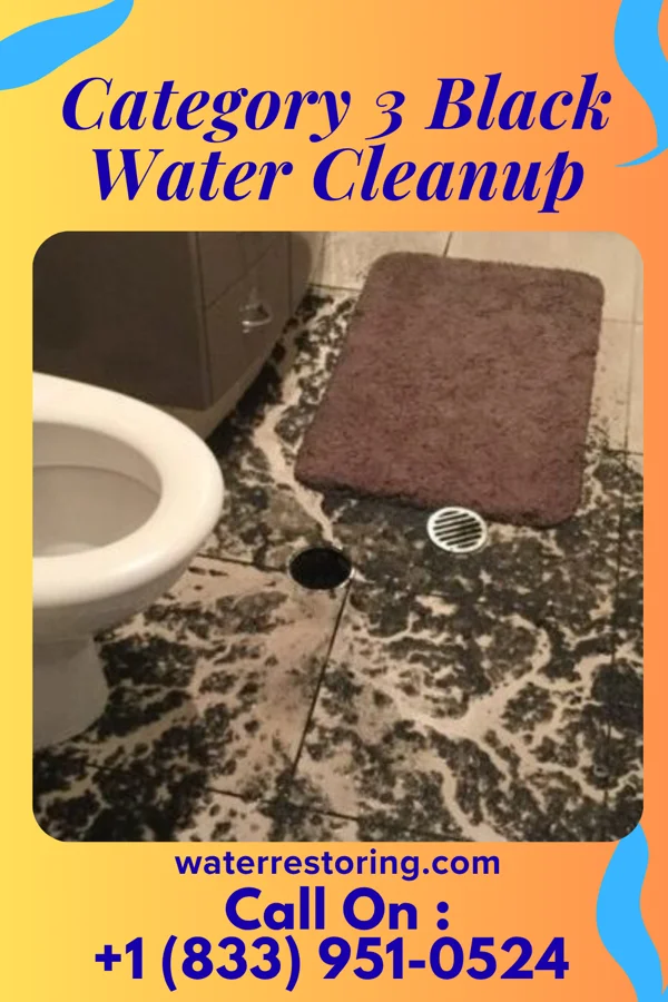 Category 3 Black Water Cleanup in North Belle Vernon, PA