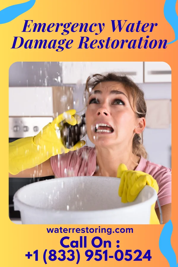 Emergency Water Damage Restoration in North Belle Vernon, PA