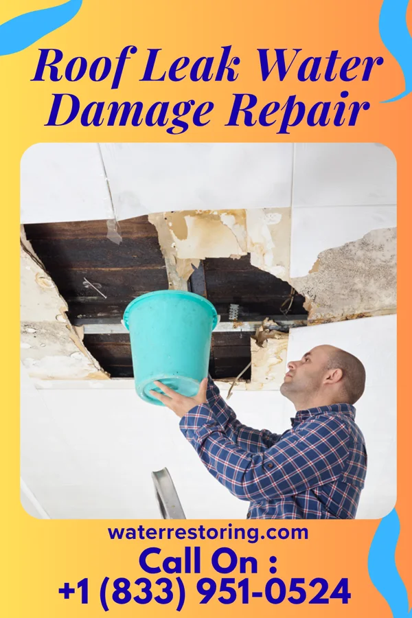 Roof Leak Water Damage Repair in North Belle Vernon, PA