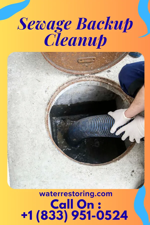 Sewage Backup Cleanup in North Belle Vernon, PA
