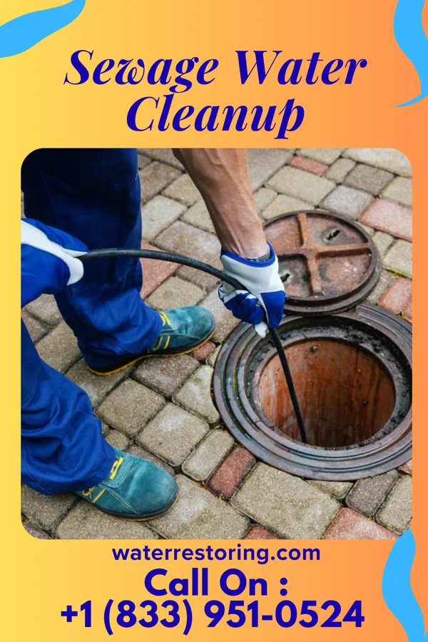 Sewage Water Cleanup in North Belle Vernon, PA