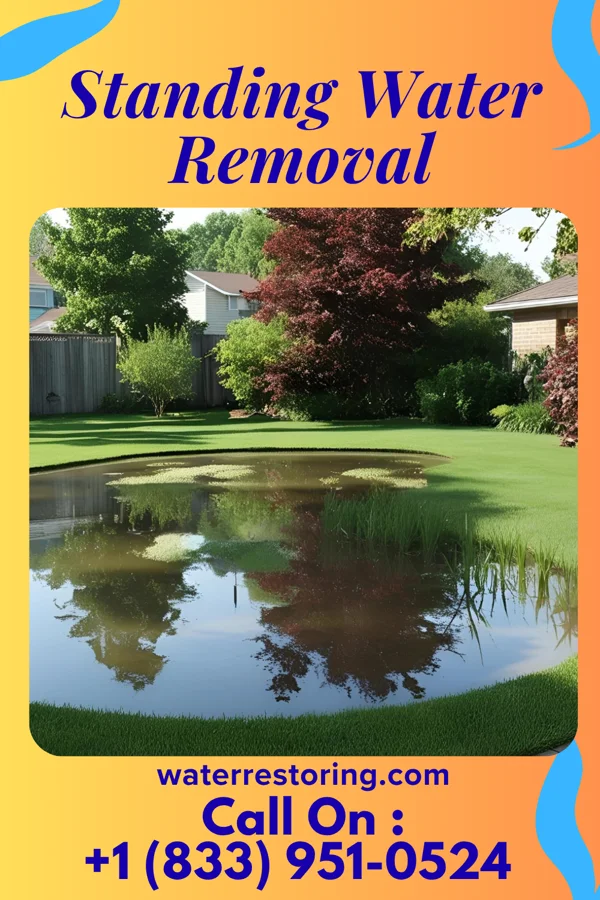 Standing Water Removal in North Belle Vernon, PA